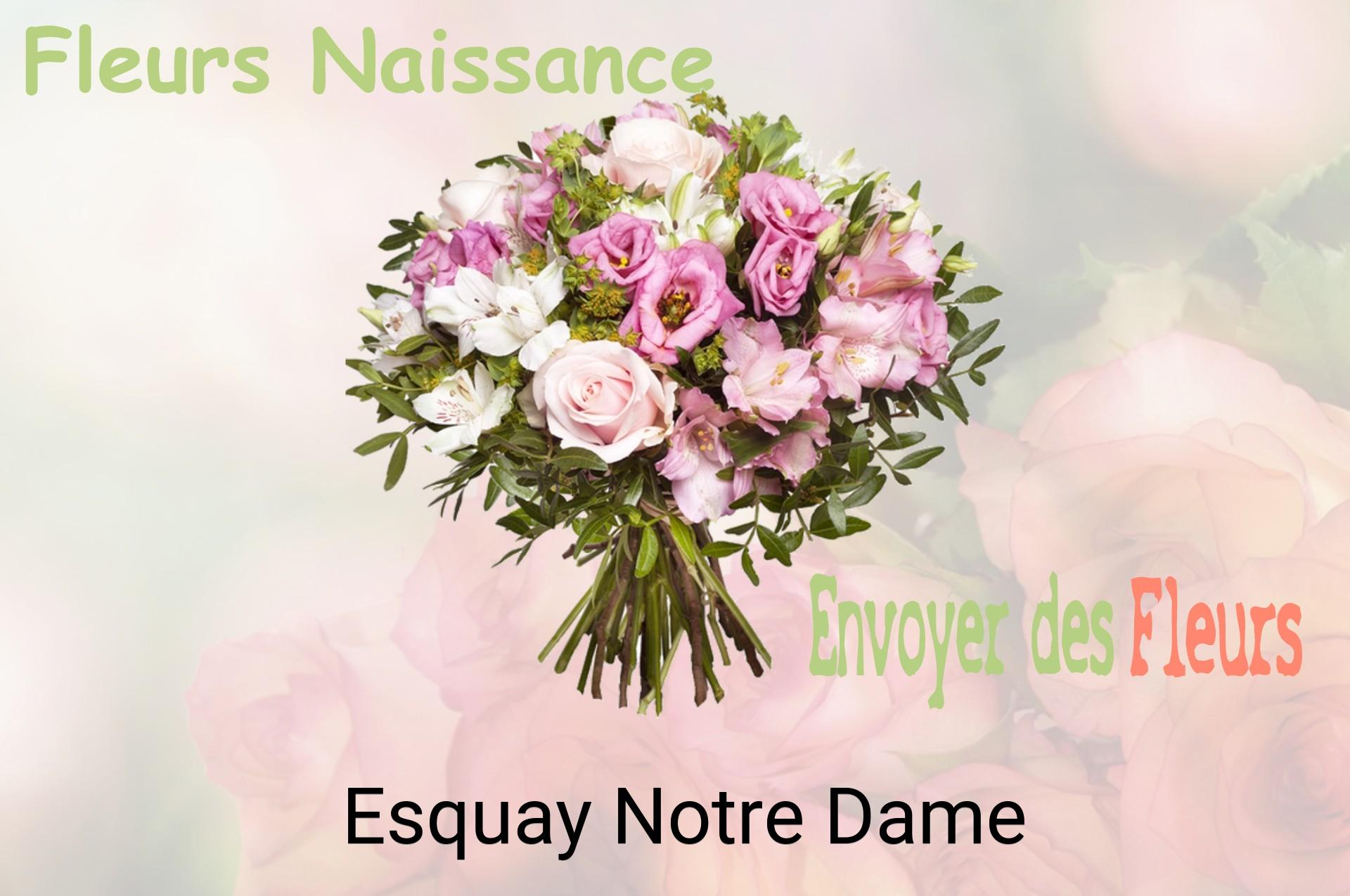 Bouquet de fleurs de naissance livré à Esquay-Notre-Dame